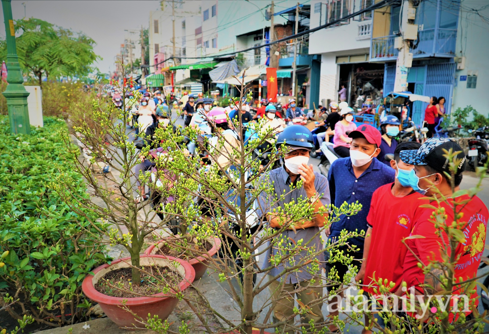 Cận cảnh bến Bình Đông ngập tràn sắc xuân trước thêm Tết Nhâm Dần - Ảnh 3.