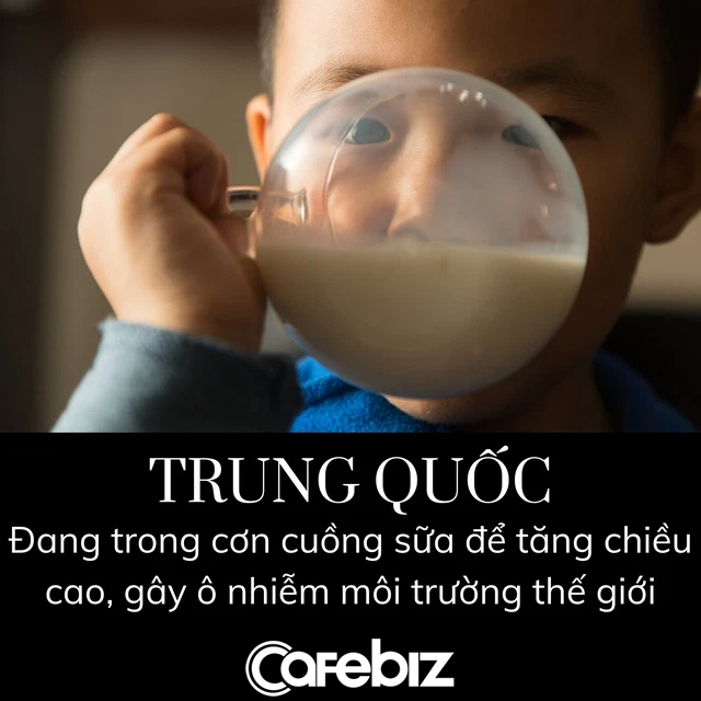 Trung Quốc cuồng sữa khiến cả thế giới chịu trận: Nuôi 13 triệu con bò, chiếm 2/3 lượng khí thải nhà kính, cố sản xuất vượt khả năng của tự nhiên - Ảnh 3.