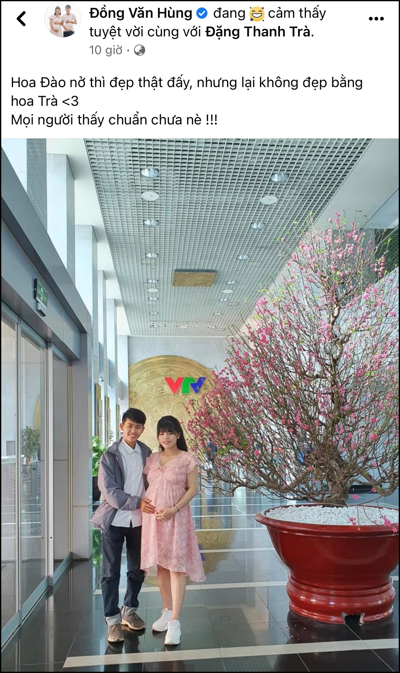 Hoa đào luôn là biểu tượng tuyệt đẹp của mùa xuân và đất nước Việt Nam. Bức ảnh này sẽ giúp bạn thưởng thức vẻ đẹp toát lên từ cây đào trắng tinh khôi cùng những bông hoa đỏ rực rỡ.