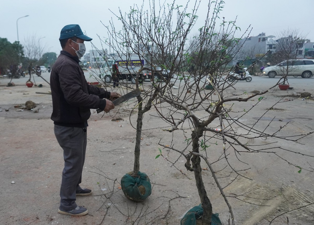 Kh&ocirc;ng b&aacute;n được h&agrave;ng, thương l&aacute;i ch&eacute;m bỏ đ&agrave;o giữa phố - Ảnh 5.