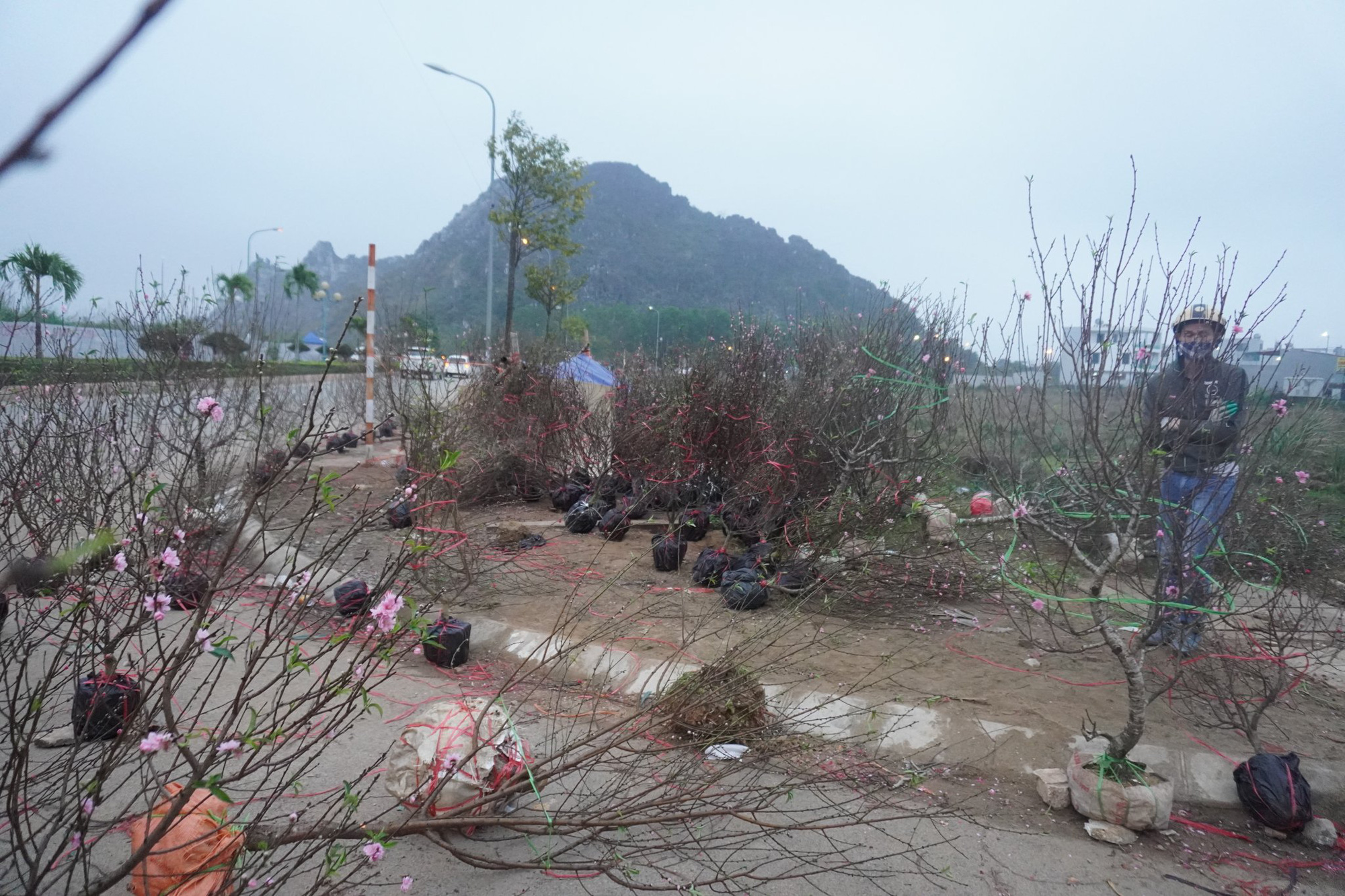 Kh&ocirc;ng b&aacute;n được h&agrave;ng, thương l&aacute;i ch&eacute;m bỏ đ&agrave;o giữa phố - Ảnh 1.