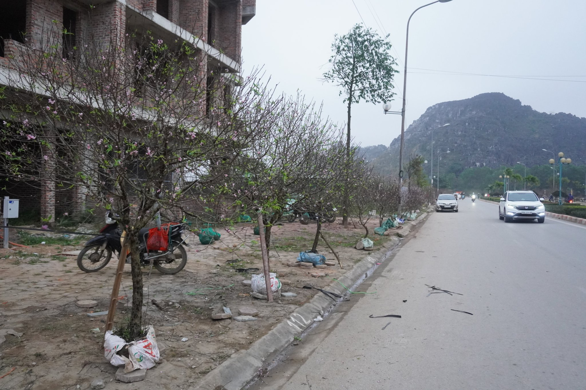 Kh&ocirc;ng b&aacute;n được h&agrave;ng, thương l&aacute;i ch&eacute;m bỏ đ&agrave;o giữa phố - Ảnh 2.
