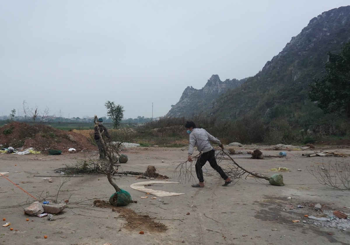 Kh&ocirc;ng b&aacute;n được h&agrave;ng, thương l&aacute;i ch&eacute;m bỏ đ&agrave;o giữa phố - Ảnh 10.