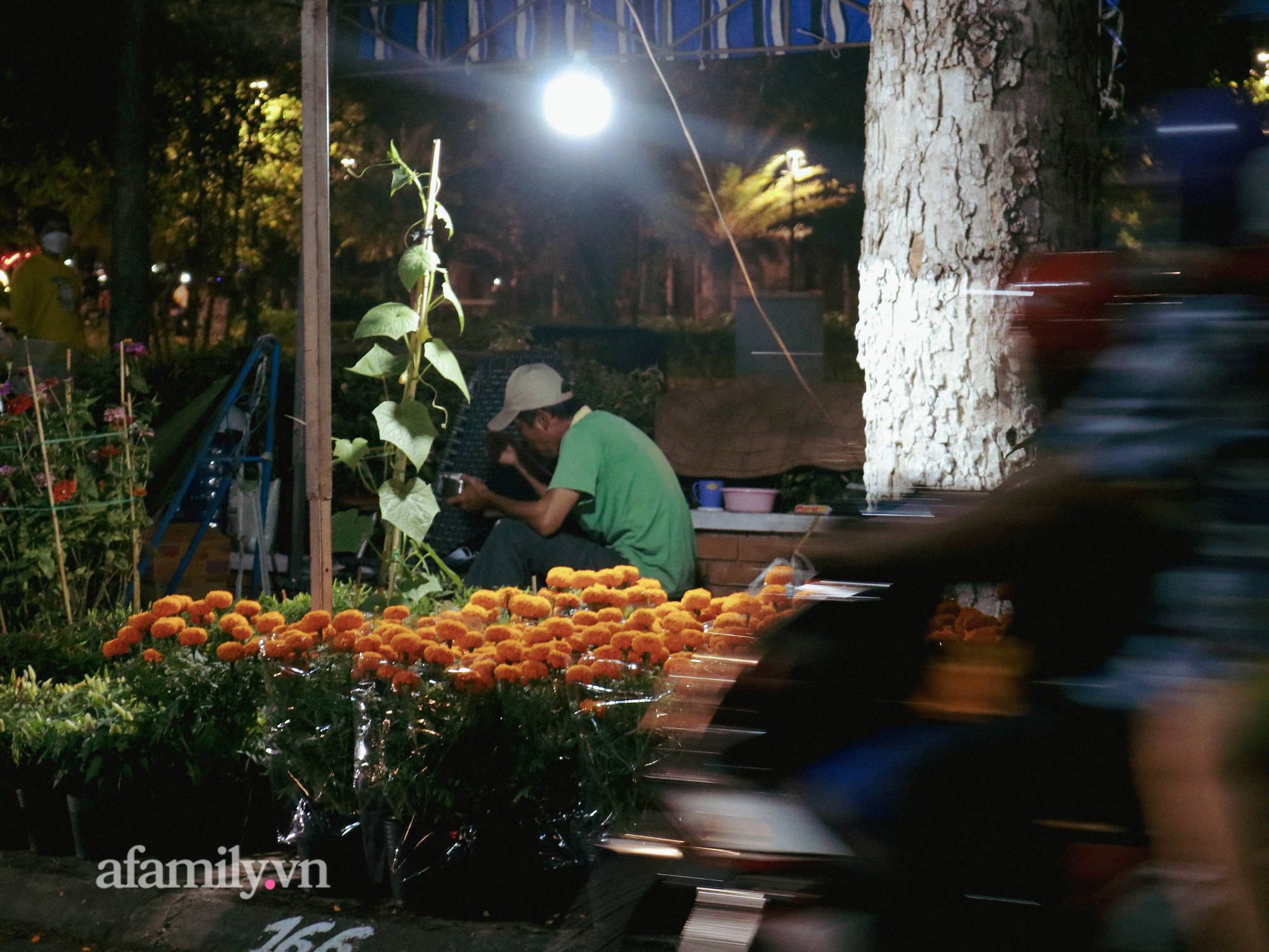 Vui buồn chợ hoa đêm miền Tây: Vượt hàng trăm cây số &quot;đánh canh bạc được ăn cả ngã về không&quot;, cái Tết ấm no chỉ dành cho kẻ &quot;dám chơi liều&quot; - Ảnh 4.