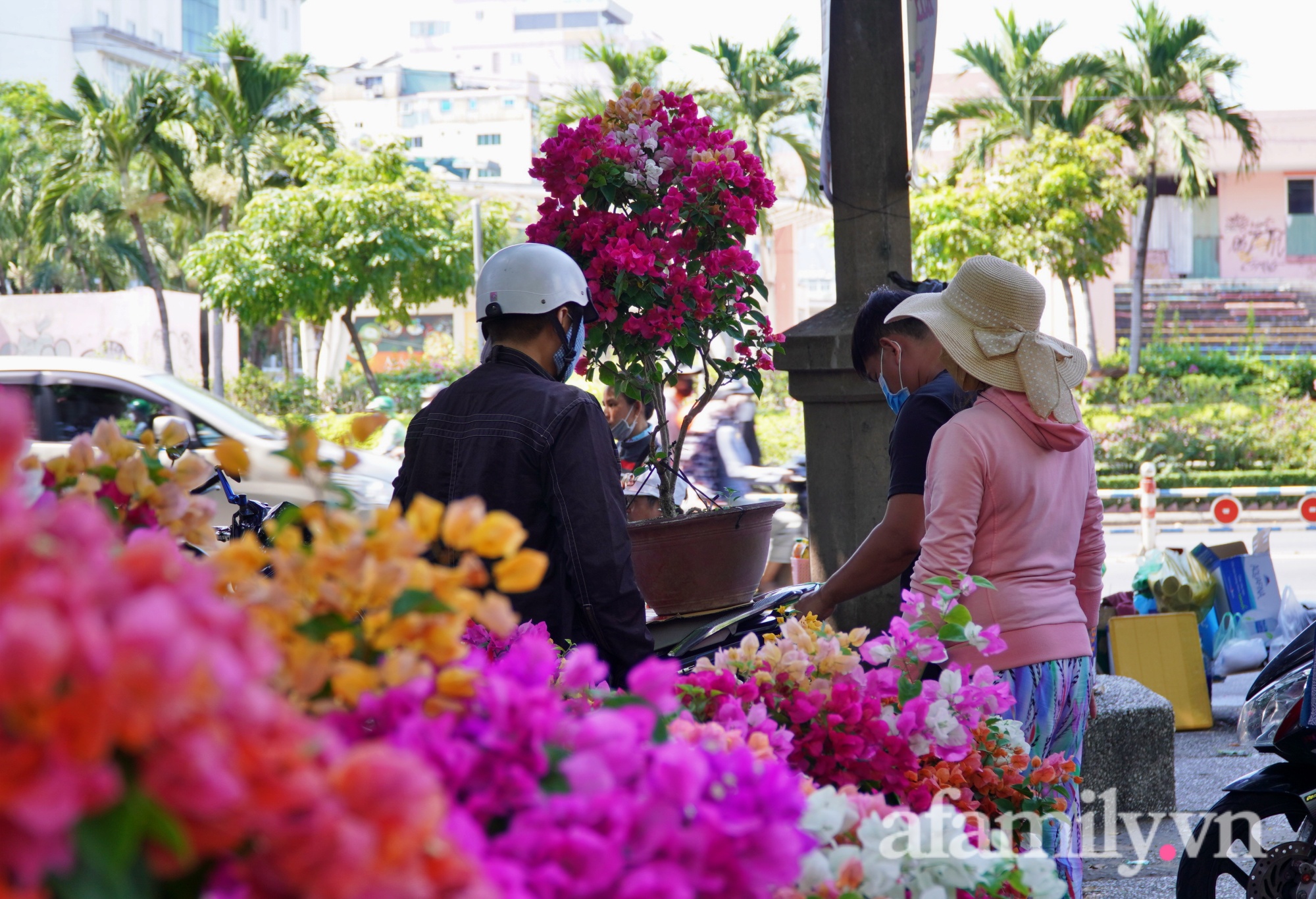 Hoa chiều 29 Tết “chạm đáy” bán như cho, không còn cảnh đập chậu, nhiều bạn trẻ tham gia giải cứu hoa - Ảnh 3.