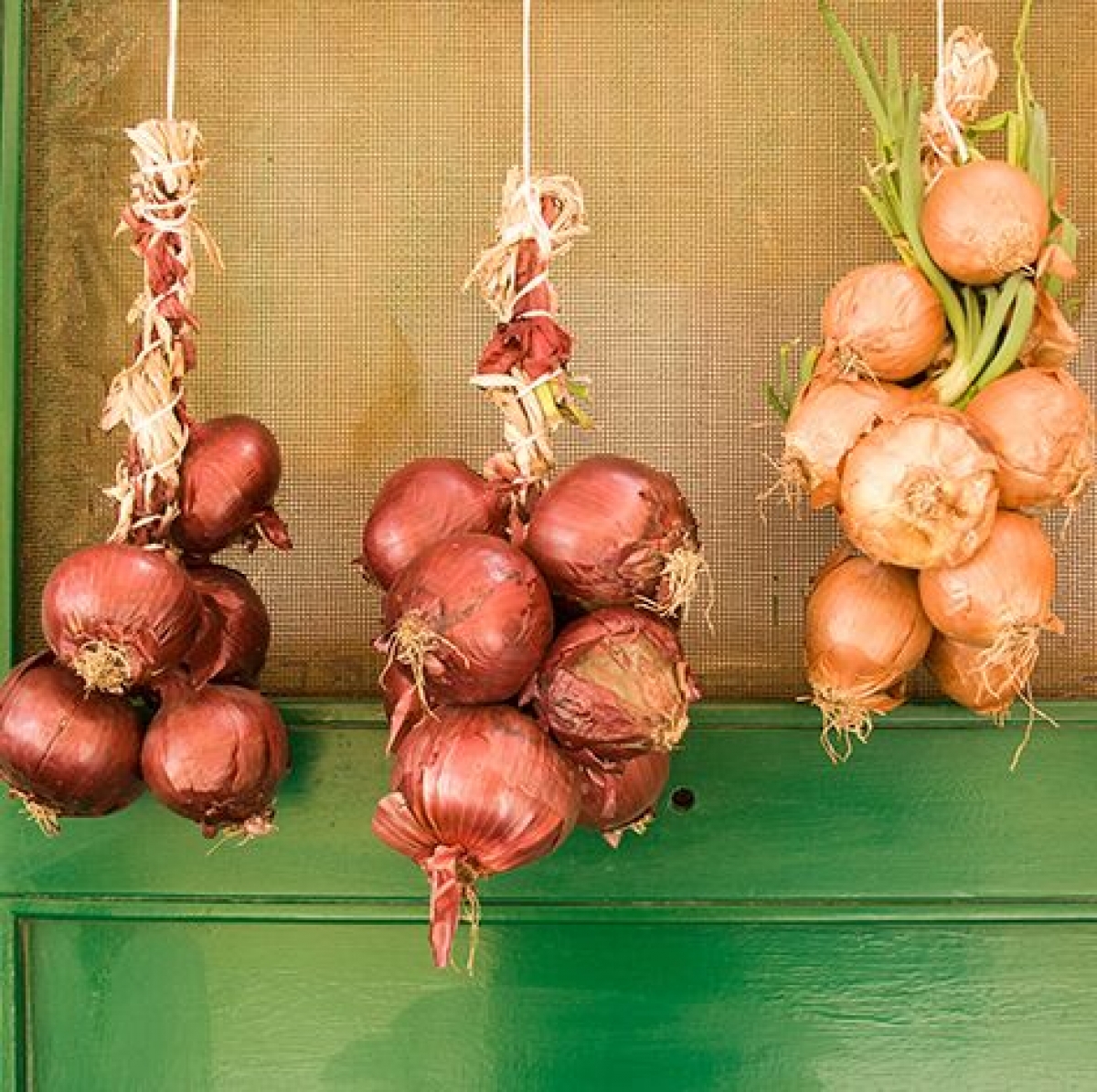 Những phong tục truyền thống “cầu may” trong năm mới trên khắp thế giới - Ảnh 3. Những phong tục truyền thống “cầu may” trong năm mới trên khắp thế giới - Ảnh 3.