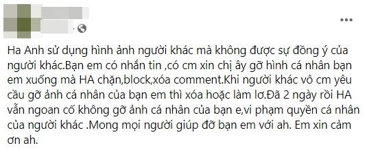 Biến mới: Lùm xùm phát ngôn về bé gái 8 tuổi bị bạo hành chưa nguôi, Hà Anh lại bị tố hành động xâm phạm quyền cá nhân - Ảnh 3.