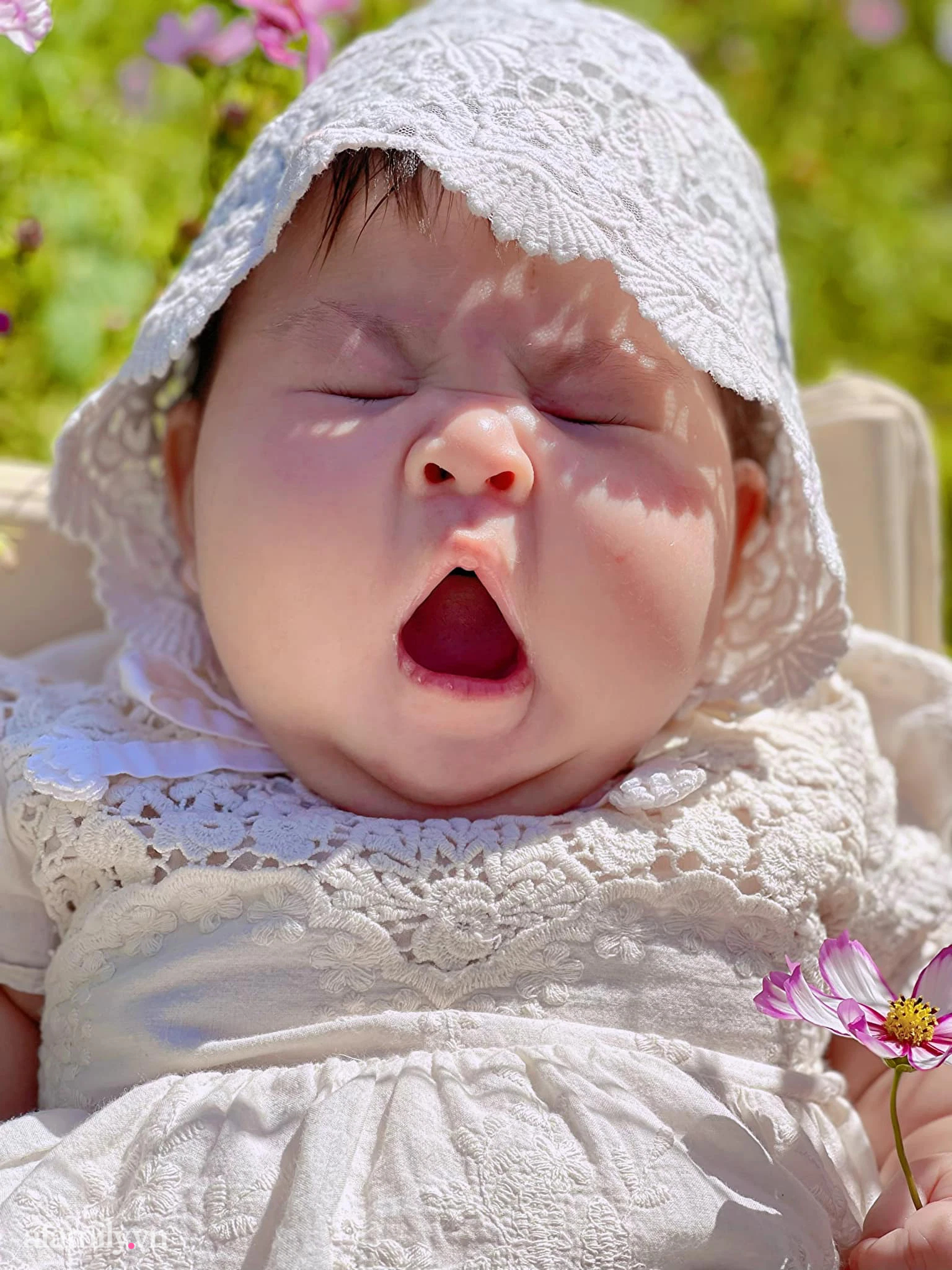 Chụp hình em bé khóc là một trong những khoảnh khắc cảm động nhất. Hãy xem ngay những bức ảnh đáng yêu và chân thực nhất của các em bé khóc để tận hưởng và cảm nhận tình cảm yêu thương đong đầy.