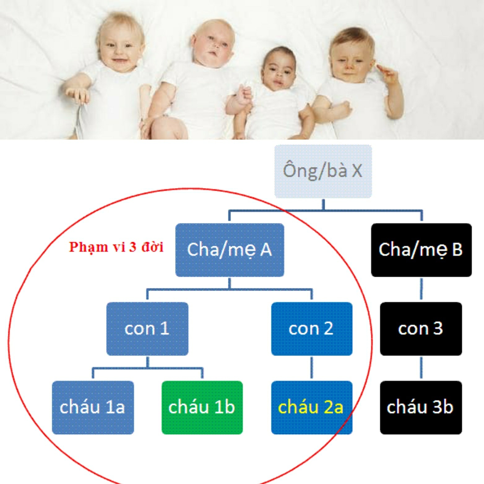 Điều g&igrave; c&oacute; thể xảy ra với trẻ em sinh ra từ quan hệ cận huyết? Cả 3 nguy cơ đều v&ocirc; c&ugrave;ng nguy hiểm  - Ảnh 1.