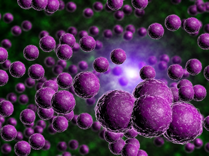un-tratamiento-experimental-muestra-potencial-contra-staphylococcus-aureus-16653740329691103262876-1665406453523-1665406453623636576927.jpg