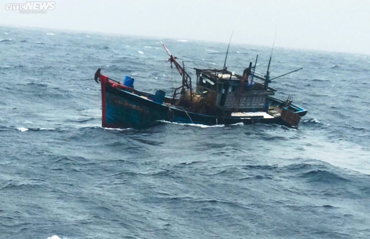 Hai tàu cá cùng 8 ngư dân Khánh Hòa bị chìm trên biển - Ảnh 1.