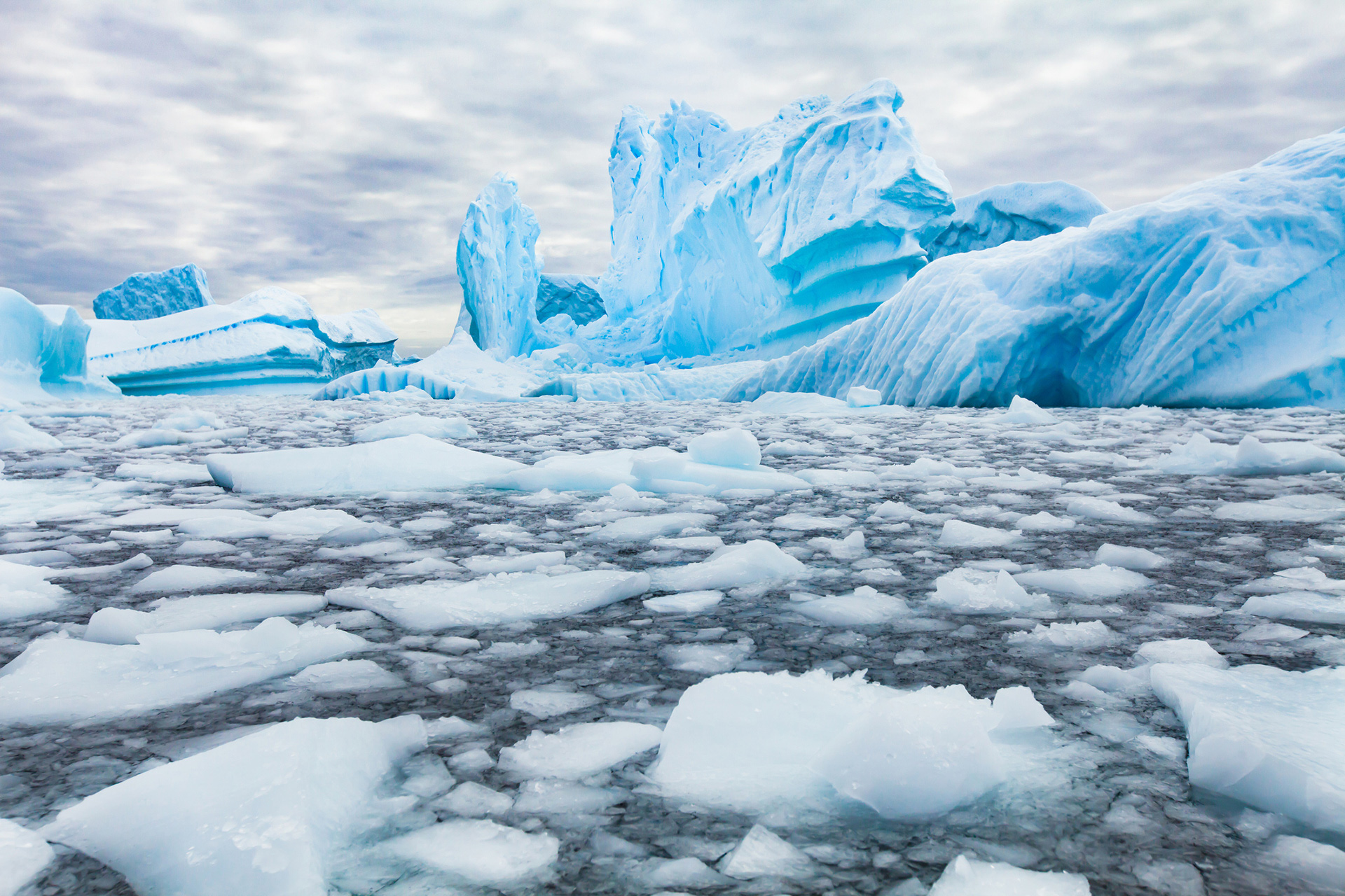 Sông băng ở Đông Nam Cực tan chảy 70,8 tỷ tấn một năm do nước biển ấm lên - Ảnh 1.