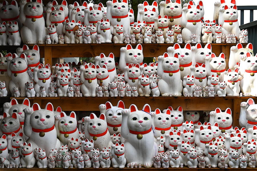 Nguồn gốc và ý nghĩa bất ngờ của “'chú mèo vẫy khách” cầu may nổi tiếng trong văn hóa Nhật Bản - Ảnh 1.