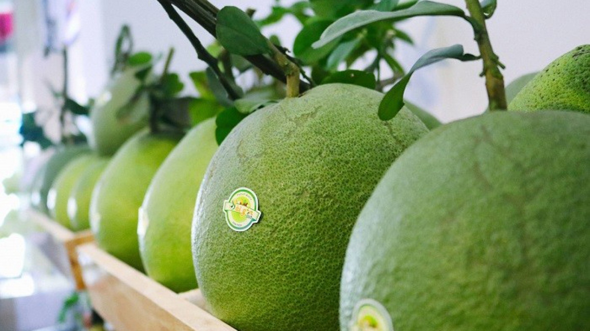 Điểm danh 7 loại trái cây Việt Nam được phép nhập khẩu vào Hoa Kỳ - Ảnh 1.