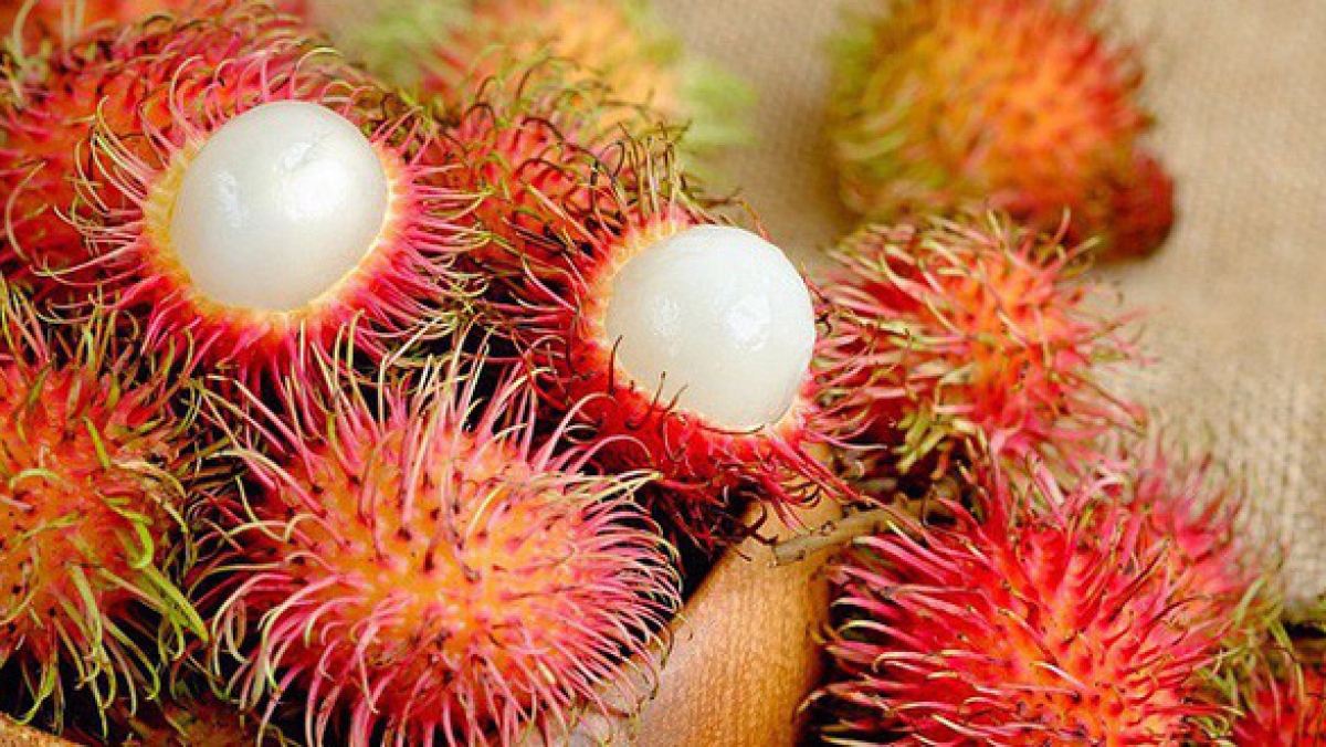 Điểm danh 7 loại trái cây Việt Nam được phép nhập khẩu vào Hoa Kỳ - Ảnh 6.