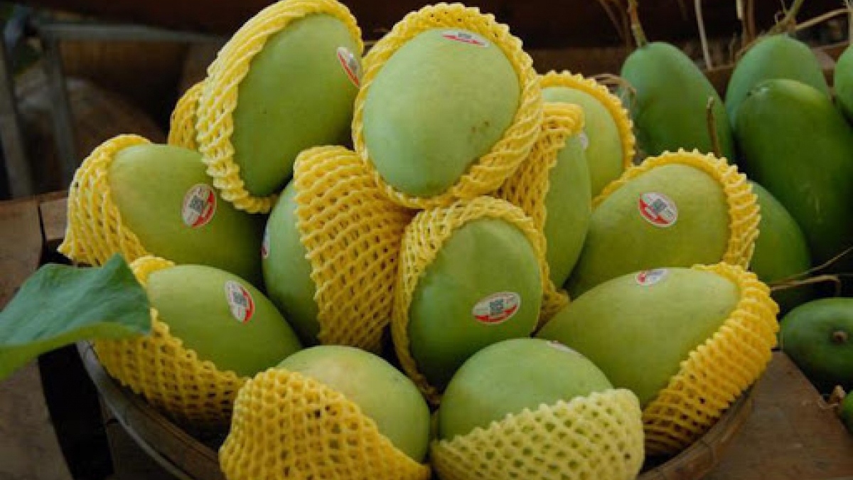 Điểm danh 7 loại trái cây Việt Nam được phép nhập khẩu vào Hoa Kỳ - Ảnh 9.