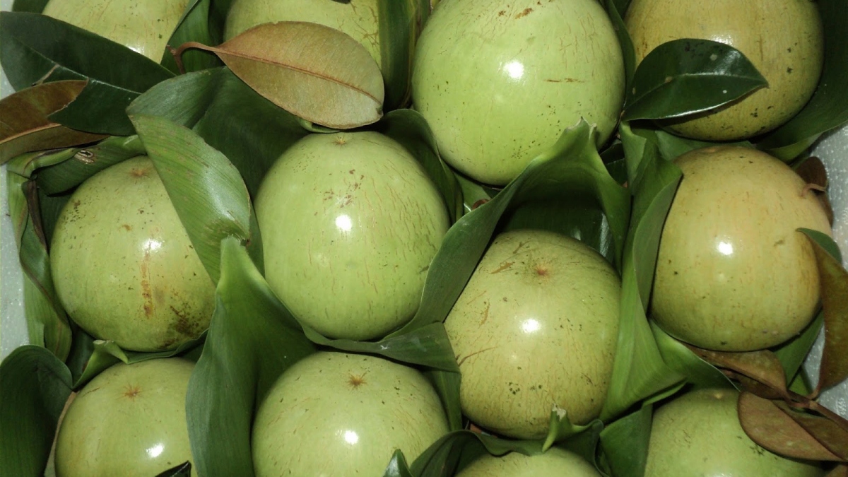 Điểm danh 7 loại trái cây Việt Nam được phép nhập khẩu vào Hoa Kỳ - Ảnh 8.