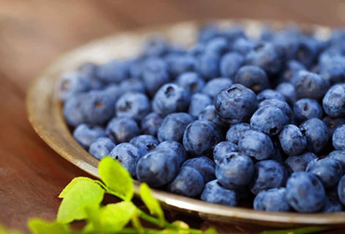 493ssthinkstockrfblueberries-1664677685311-16646776853781434673177.jpg