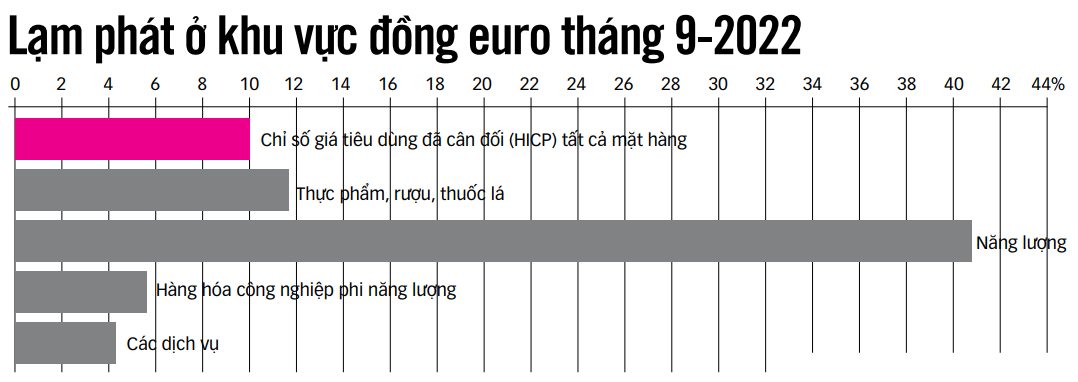 Lạm phát kỷ lục ở khu vực các nước sử dụng đồng tiền chung euro - Ảnh 2.