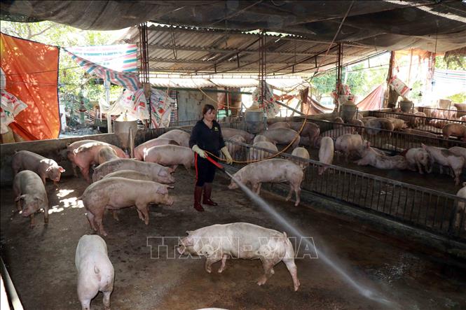 Nữ tỷ phú trên mảnh đất Cò Nòi - Ảnh 1. Nữ tỷ phú trên mảnh đất Cò Nòi - Ảnh 1.
