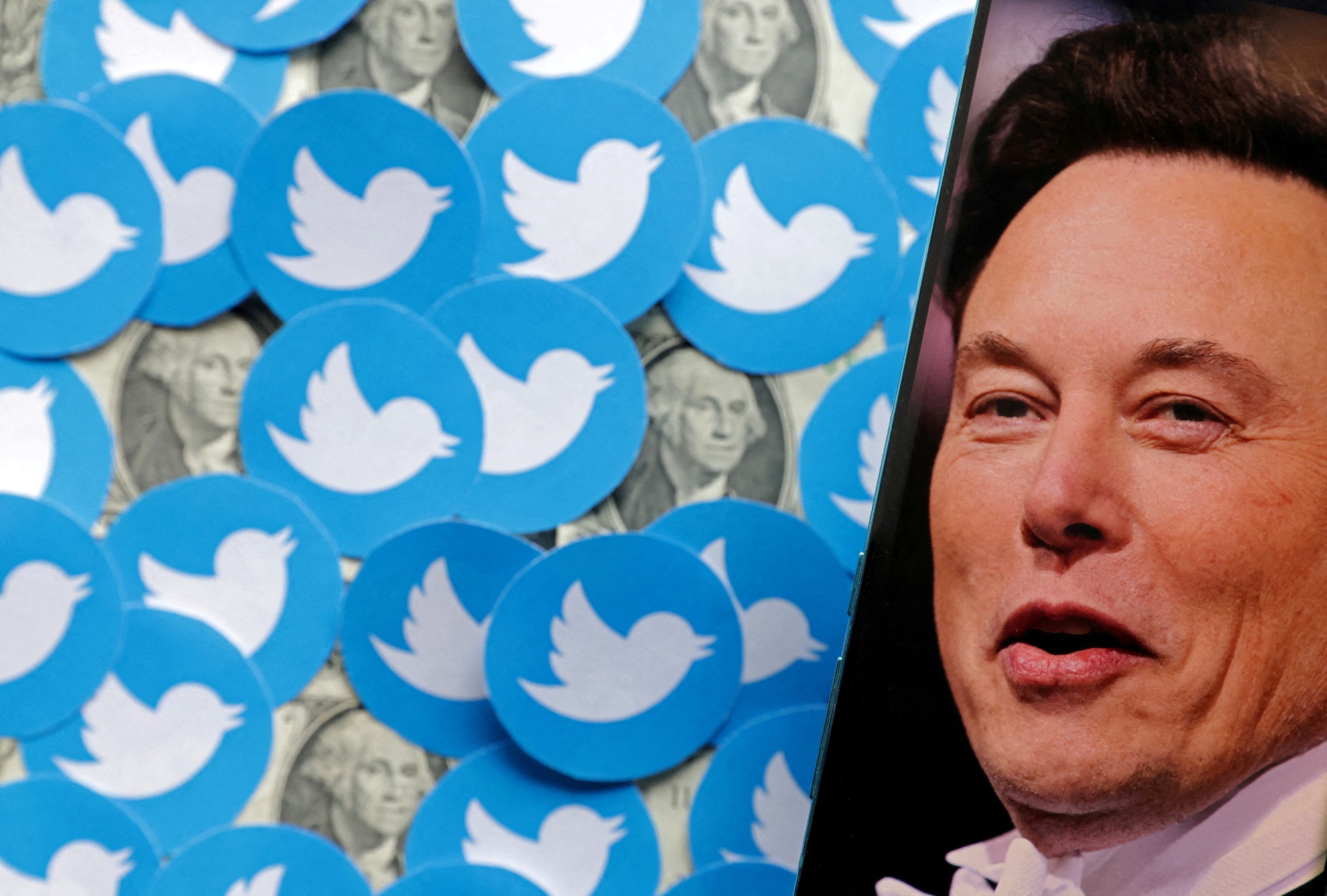 Tỉ phú Elon Musk muốn sa thải 75% nhân viên Twitter? - Ảnh 1.