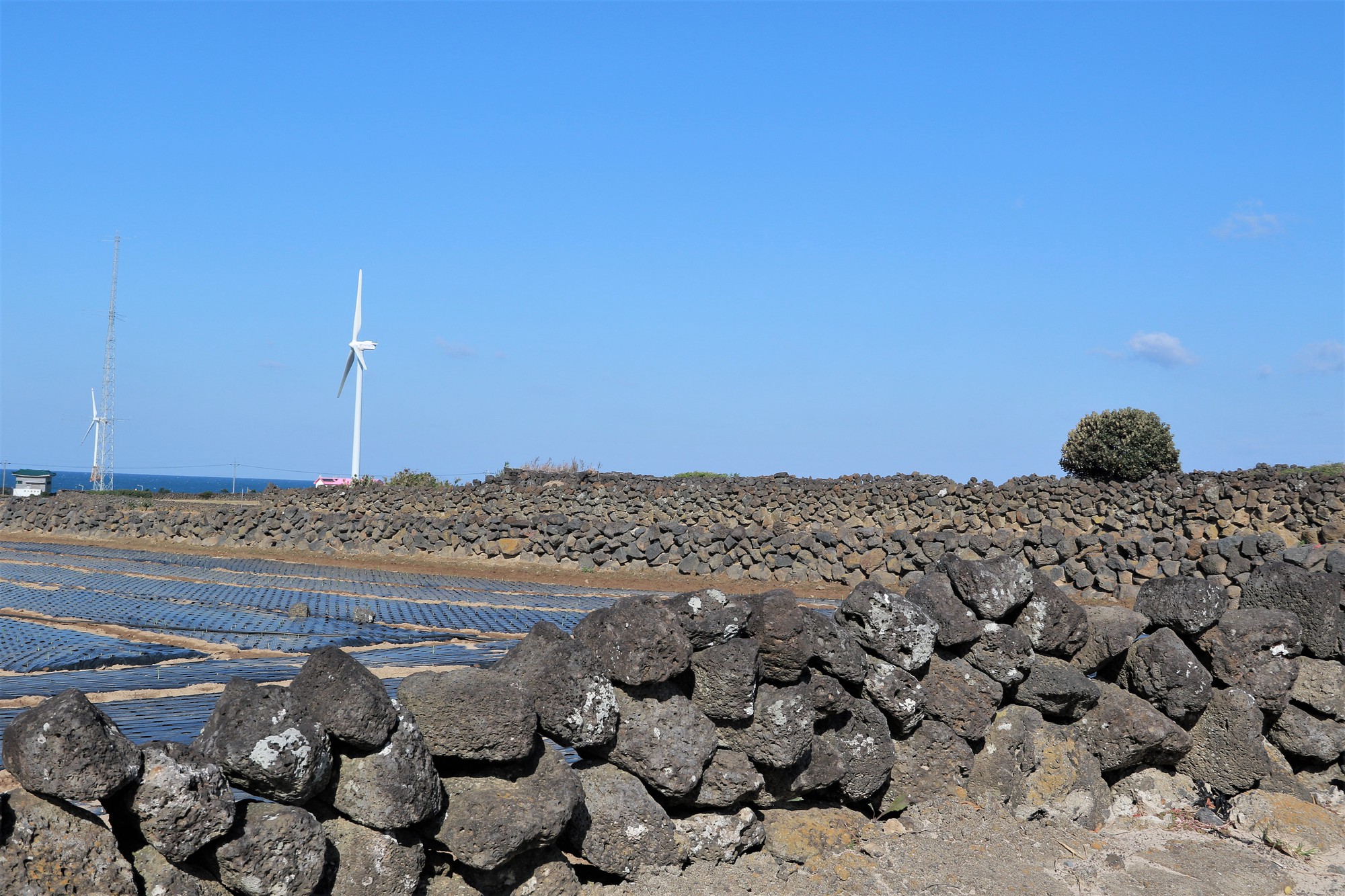 Jeju và những giá trị Di sản thế giới - Ảnh 2.