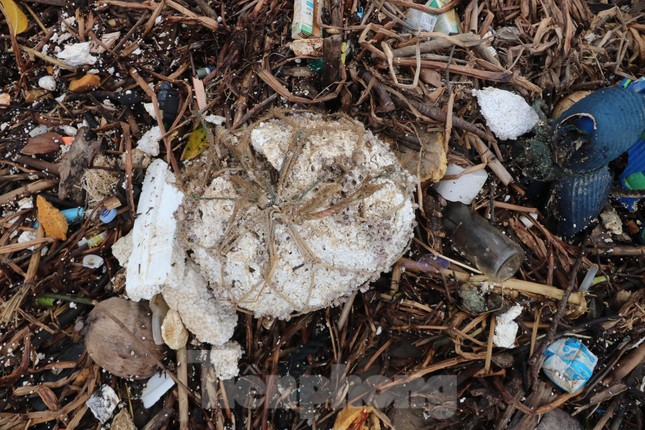 Hàng tấn rác thải trôi dạt, 'bủa vây' bờ biển du lịch nổi tiếng ở Hà Tĩnh - Ảnh 6.