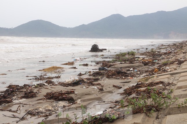 Hàng tấn rác thải trôi dạt, 'bủa vây' bờ biển du lịch nổi tiếng ở Hà Tĩnh - Ảnh 9.
