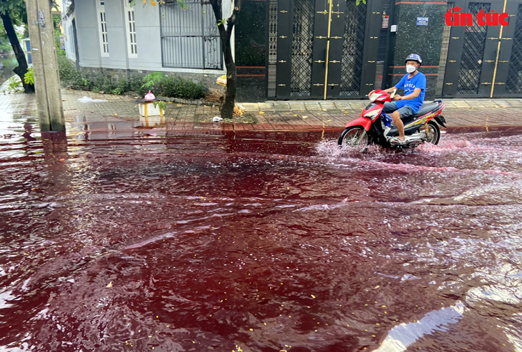 TP Hồ Chí Minh: Xuất hiện màu nước lạ bất thường sau mưa lớn - Ảnh 3.