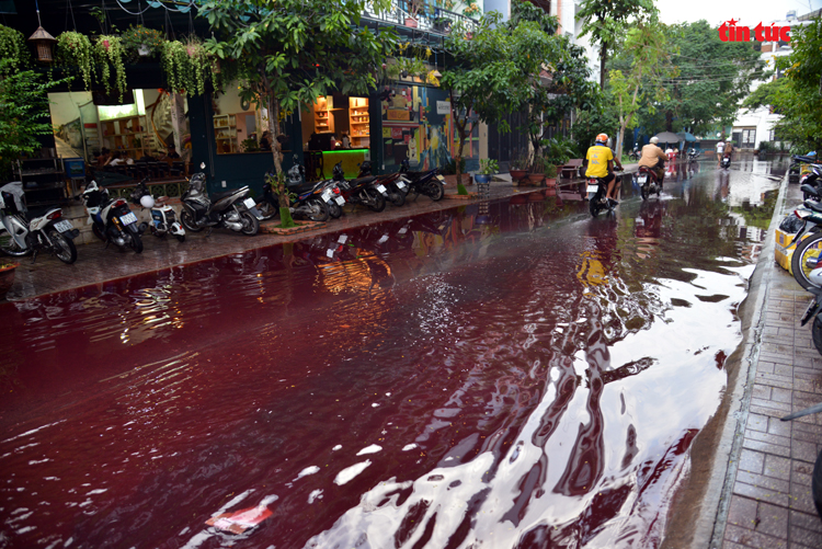 TP Hồ Chí Minh: Xuất hiện màu nước lạ bất thường sau mưa lớn - Ảnh 6.