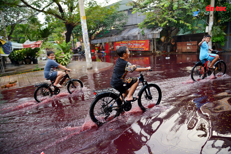 TP Hồ Chí Minh: Xuất hiện màu nước lạ bất thường sau mưa lớn - Ảnh 9.