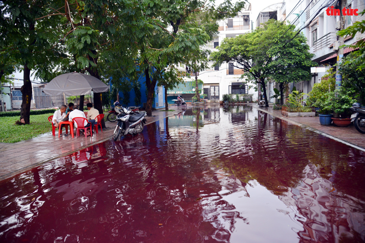 TP Hồ Chí Minh: Xuất hiện màu nước lạ bất thường sau mưa lớn - Ảnh 5.