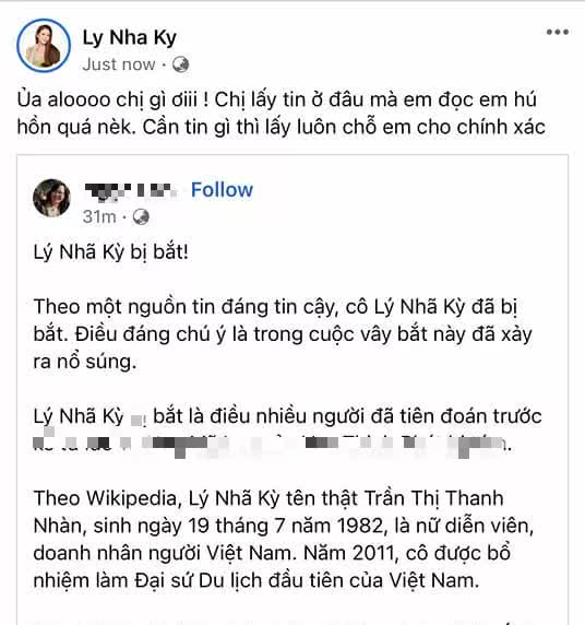 L&yacute; Nh&atilde; Kỳ phủ nhận tin đồn bị bắt - Ảnh 2.
