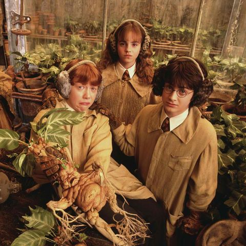 Diễn viên Harry Potter tiết lộ thù lao bất ngờ sau 20 năm: Gần bằng Emma Watson với chỉ 3 phút lên hình! - Ảnh 1.