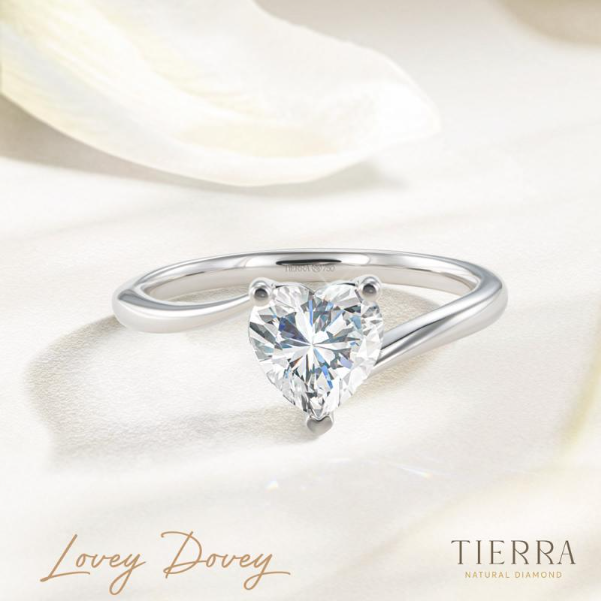 Tierra Diamond ra mắt BST Nhẫn cầu hôn kim cương mang tên Holding You - Ảnh 10.