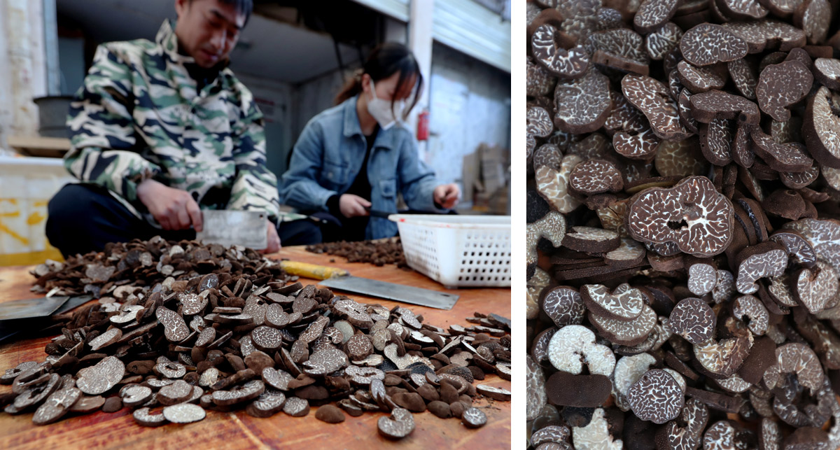 Một ngày ở chợ nấm Côn Minh (Trung Quốc) - nơi bán 'thức quà của đất' đắt đỏ bậc nhất thế giới - Ảnh 4.
