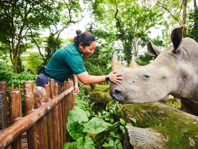 Bước ngoặt làm thay đổi cuộc đời cô gái trẻ: Từ nhà làm phim thành nhân viên chăm sóc các con thú - Ảnh 4.