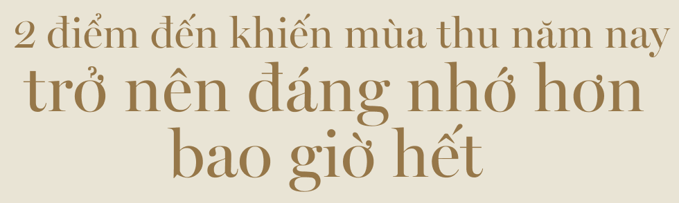 Mùa thu vẹn tròn xúc cảm: Hãy để những trải nghiệm đẹp giữ nắng thu vương mãi trong tim mình! - Ảnh 2.