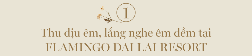 Mùa thu vẹn tròn xúc cảm: Hãy để những trải nghiệm đẹp giữ nắng thu vương mãi trong tim mình! - Ảnh 3.