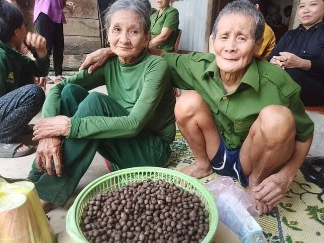 Xuyên đêm tìm kiếm cụ bà bị lạc trong rừng khi đi nhặt hạt dẻ - Ảnh 1. Xuyên đêm tìm kiếm cụ bà bị lạc trong rừng khi đi nhặt hạt dẻ - Ảnh 1.