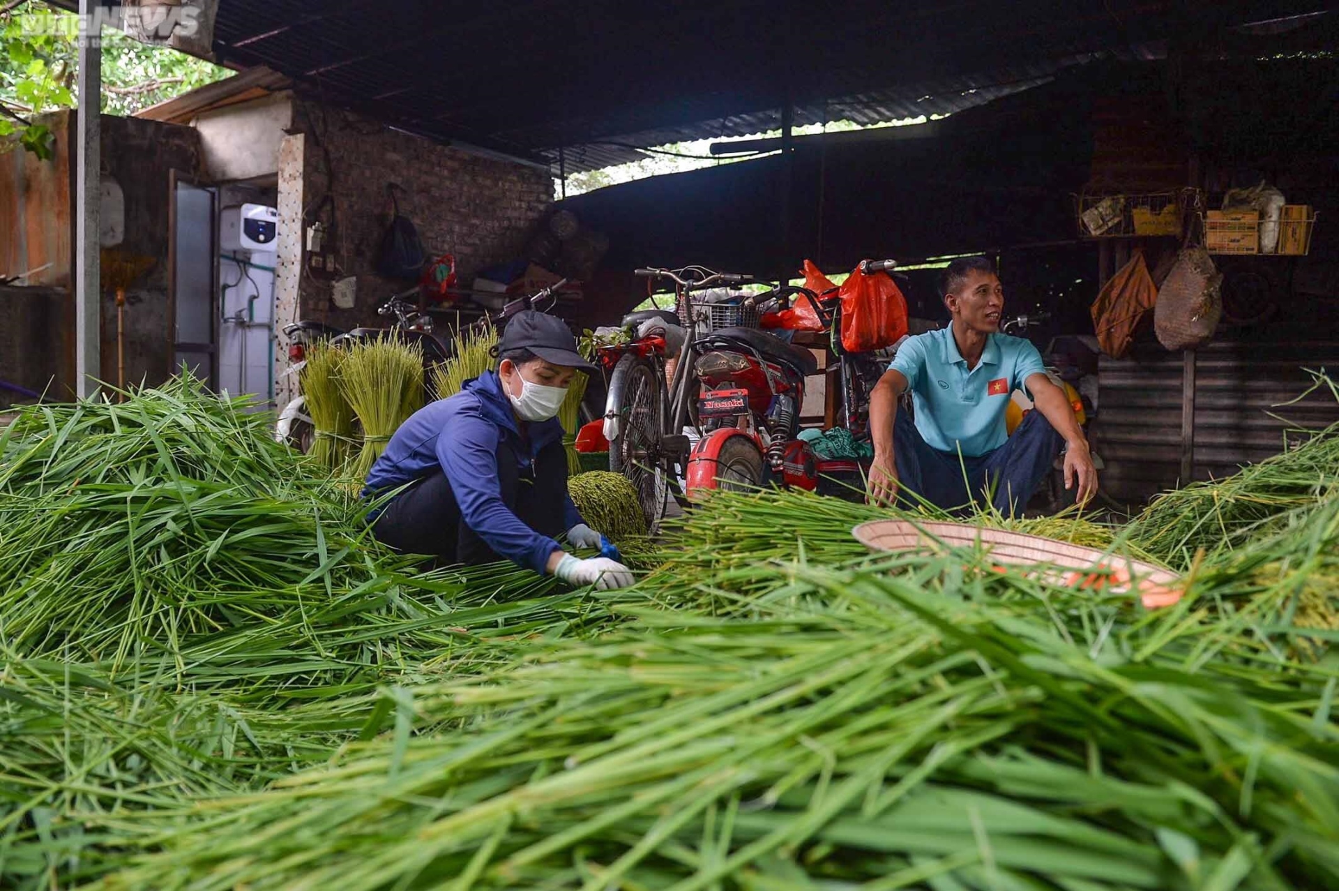 Ảnh: Người dân làng Mễ Trì tất bật vào vụ cốm, thu tiền triệu mỗi ngày - Ảnh 1.