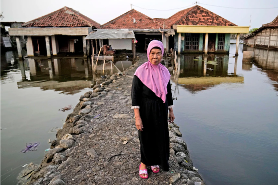 Những ngôi làng đang chìm dần vì nước biển dâng ở Indonesia - Ảnh 1.