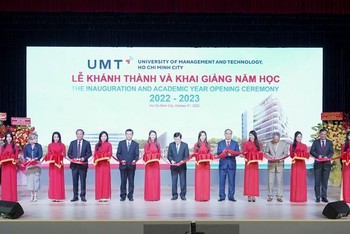 Đảm bảo 100% học sinh lớp 3 tại TPHCM được học môn tiếng Anh, Tin học - Ảnh 15.