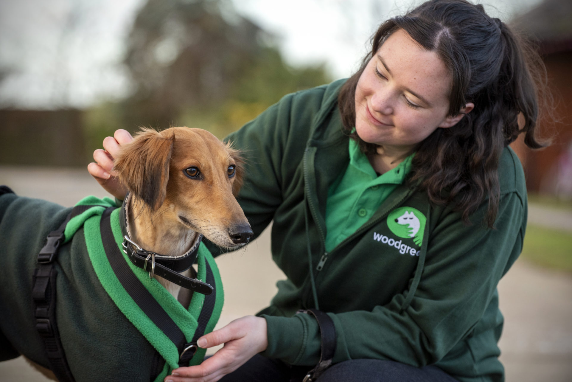 smiling-woodgreen-team-member-with-dog-16652207646101540032419-1665290567019-16652905677572005345226-1665307569798-1665307570323354671410.jpg