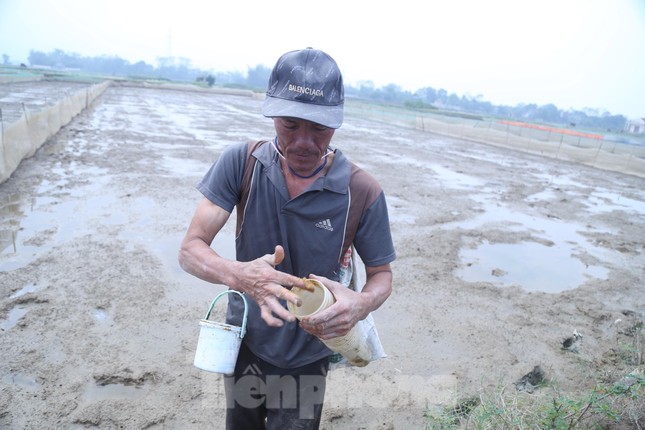 Độc chiêu săn cáy bằng cốc nhựa và ruốc hôi - Ảnh 3. Độc chiêu săn cáy bằng cốc nhựa và ruốc hôi - Ảnh 3.
