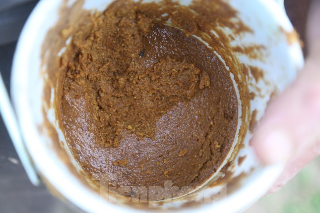 Độc chiêu săn cáy bằng cốc nhựa và ruốc hôi - Ảnh 2. Độc chiêu săn cáy bằng cốc nhựa và ruốc hôi - Ảnh 2.