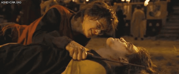 Loạt chi tiết phim Harry Potter làm hay hơn truyện: Sự hi hinh của nhiều nhân vật trở nên ý nghĩa gấp bội - Ảnh 5.