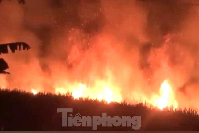 Điều tra vụ cháy lớn tại vườn mía rộng hơn 10.000m2 ở Bình Dương - Ảnh 2.