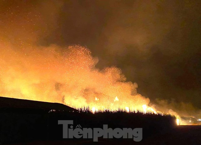 Điều tra vụ cháy lớn tại vườn mía rộng hơn 10.000m2 ở Bình Dương - Ảnh 1.