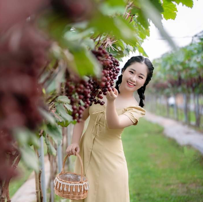 Choáng ngợp trước vườn nho sai trĩu quả thu hút đông đảo khách tham quan ở Ninh Bình - Ảnh 7.